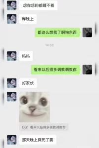 SMk9犬化调教（3）附加聊天记录